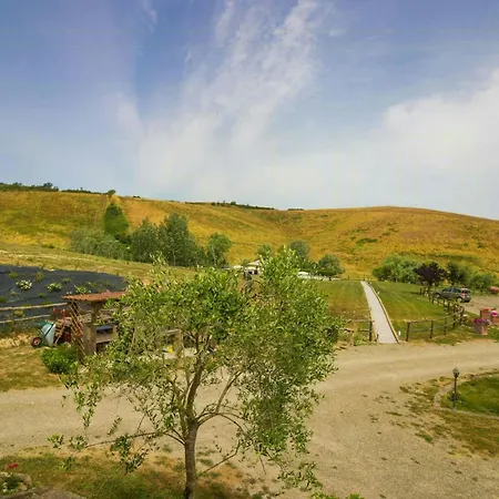 Lovely With Pool In Chianti Montaione